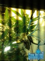 2014-06-15 21.35.00.jpg