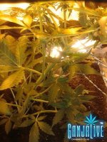 2014-06-15 21.36.42.jpg