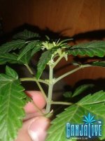 2014-06-13 22.50.09.jpg