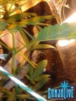 2014-06-15 21.35.38.jpg