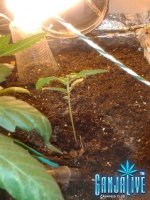 2014-06-15 21.35.45.jpg