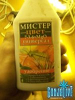 100_2346.JPG