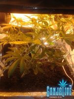 2014-06-17 19.18.11.jpg