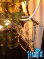 2014-06-17 19.18.29.jpg