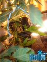 2014-06-17 19.24.58.jpg