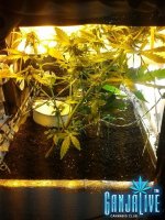 2014-06-26 20.09.41.jpg