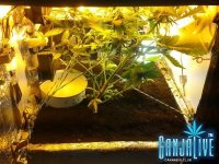 2014-06-30 06.25.33.jpg