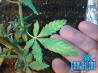 2014-06-25 19.23.47.jpg