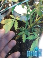 2014-06-25 19.26.35.jpg