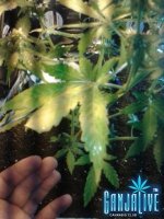 2014-06-25 19.26.40.jpg