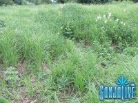 IMG_0338.JPG