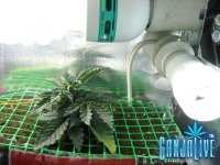 IMG_1402 - копия.JPG