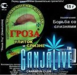 загруженное.jpg