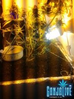 2014-07-11 23.53.00.jpg