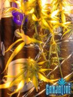 2014-07-12 04.09.13.jpg