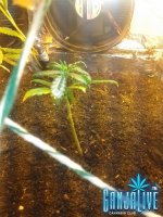 2014-07-12 04.09.36.jpg