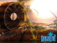 2014-07-12 04.10.00.jpg