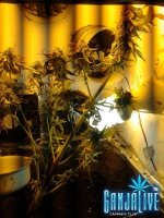 2014-07-14 21.42.10.jpg