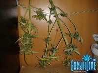 2014-07-14 22.02.28.jpg