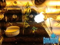 2014-07-14 22.06.02.jpg