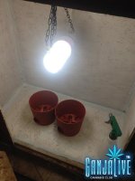 IMG_3035.JPG