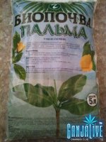 2014-07-31 21.16.12.jpg