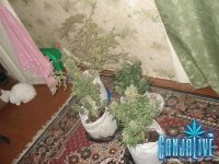 DSC03878.JPG
