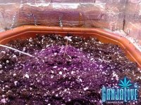 2014-05-04 12-33-32.JPG