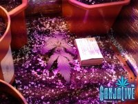 2014-05-14 12-12-50.JPG