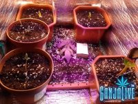 2014-05-14 12-12-56.JPG