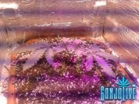 2014-05-20 13-44-18.JPG