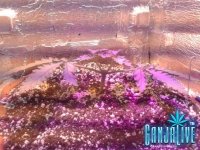 2014-05-20 13-44-22.JPG