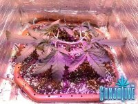 2014-05-25 11-29-26.jpg