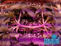 2014-05-25 11-29-34.jpg