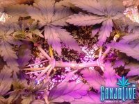 2014-05-28 14-41-01.jpg