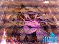 2014-05-28 14-41-08.jpg