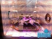 2014-05-28 14-41-48.jpg