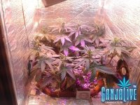 2014-06-10 12-36-08.JPG