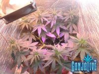 2014-06-10 12-36-20.JPG