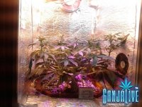 2014-06-10 12-36-42.JPG