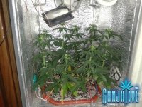 2014-06-16 11-33-21.JPG