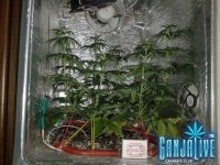 2014-06-16 11-33-42.JPG