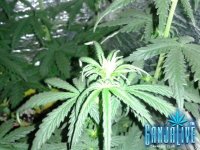 2014-06-16 11-34-13.JPG