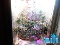 2014-06-20 12-57-08.JPG