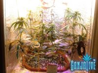 2014-06-20 12-57-16.JPG