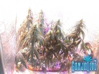 2014-07-03 22-12-01.JPG