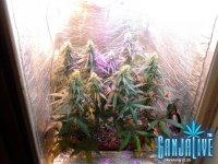 2014-07-04 16-35-35.JPG