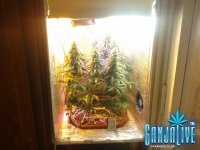 2014-07-21 13-45-25.JPG