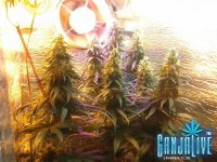 2014-07-21 13-45-43.JPG