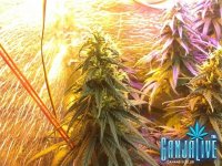 2014-07-21 13-45-48.JPG